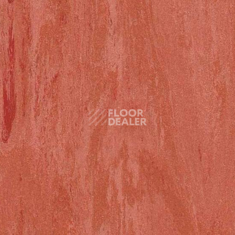 Линолеум Gerflor Classic Imperial 2mm 0017 RED фото 1 | FLOORDEALER